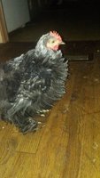 20180808_073612.jpg
