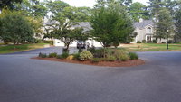 20180831_154236.jpg