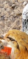 20180831_161614.jpg