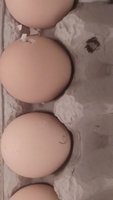 20180901_032442.jpg