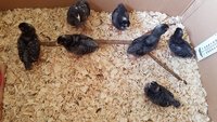 20180831_101313.jpg 20180831_101313.jpg