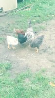 20180901_082723_Film3.jpg