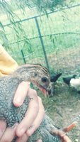 20180901_080949_Film3.jpg