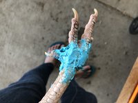E8790EEC-7FDF-4069-A647-D1A8786F564C.jpeg
