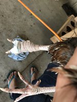 029E58AB-215C-464E-852C-793802593498.jpeg