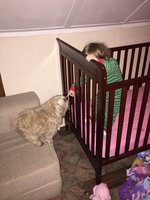 13ED375F-3F22-414B-808B-7B233F5E14B3.jpeg 13ED375F-3F22-414B-808B-7B233F5E14B3.jpeg