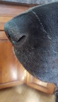 20180901_154041.jpg