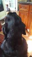 20180901_154148.jpg