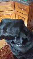 20180901_154144.jpg