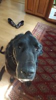 20180901_154138.jpg