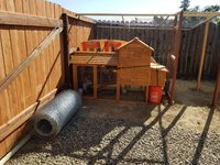 20180529_171524.jpg