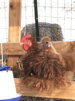 F6321022-C762-42F2-A0E5-175D1B052A45.jpeg