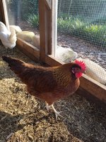 20180902_085344.jpg