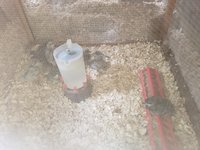 20180902_124717.jpg