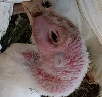 20180902_102701.jpg