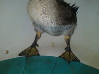 20180902_152943.jpg