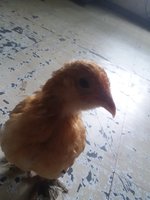 20180902_140309.jpg