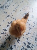 20180902_140257.jpg
