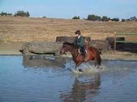whinny_water4.jpg