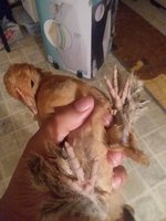 20180901_232755.jpg