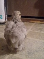 20180901_230851.jpg