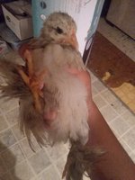 20180901_230833.jpg