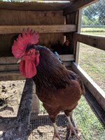 IMG_20180830_092447.jpg