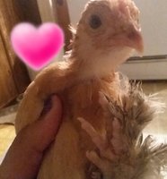 20180903_005013.jpg
