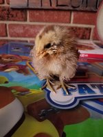 20180903_142451.jpg