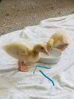 20180903_134455.jpg