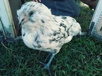 20180903_171151_Film3.jpg