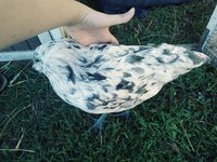 20180903_171158_Film3.jpg