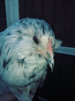 20180903_171226_Film3.jpg