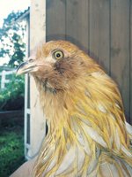 20180903_171639_Film3.jpg