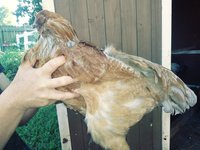 20180903_171649_Film3.jpg