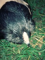 20180903_171559_Film3.jpg