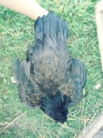 20180903_171544_Film3.jpg