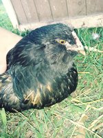 20180903_171552_Film3.jpg