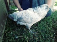 20180903_171019_Film3.jpg