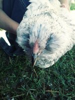 20180903_171027_Film3.jpg