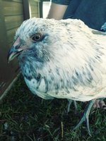 20180903_171033_Film3.jpg