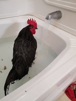 20180903_184421.jpg