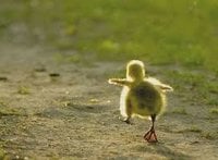 8E93A832-956A-45F4-BF12-74B23B192746.jpeg