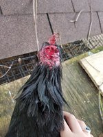 20180820_135725.jpg