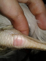 20180904_180049.jpg