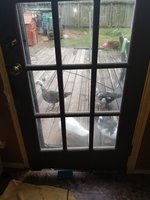 20180903_181344.jpg