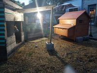 20180903_195409.jpg