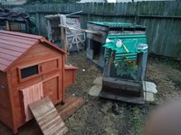 20180903_195529.jpg