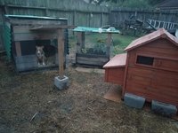 20180903_195645.jpg