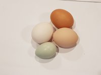 20180905_175914.jpg